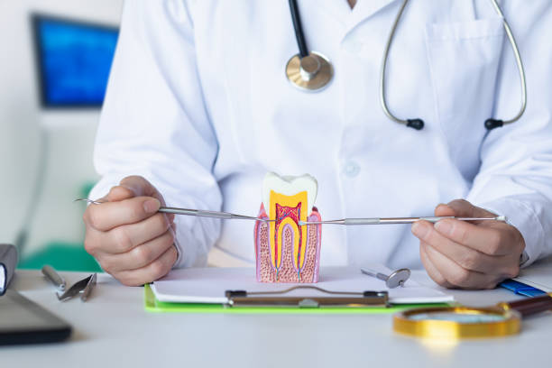 Best Emergency Tooth Extraction in Glendive, MT